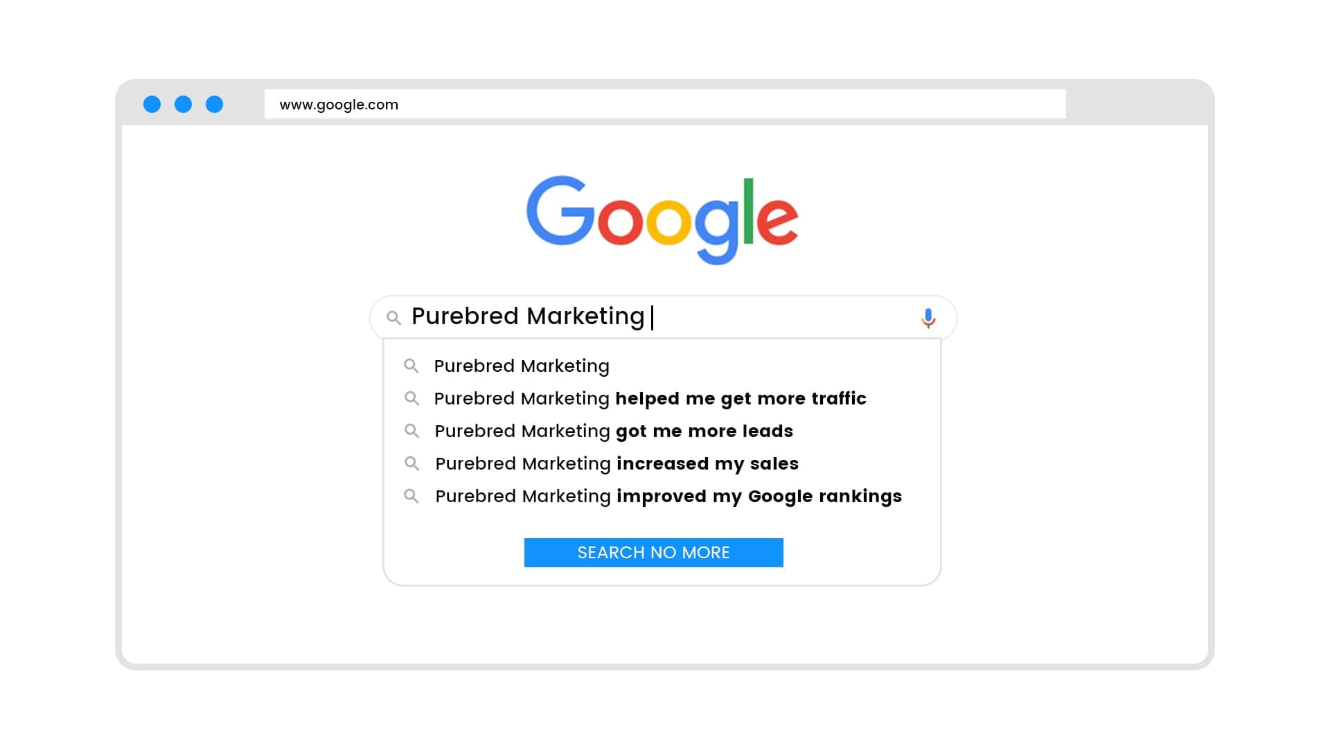 Search Engine Optimization