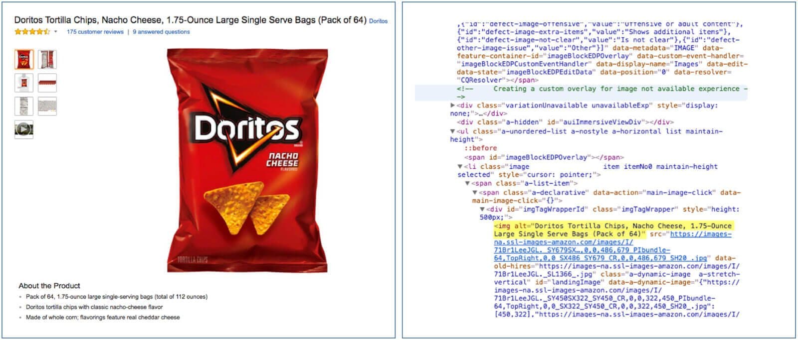 Image of a graphic editor with alt text being added to an image file.