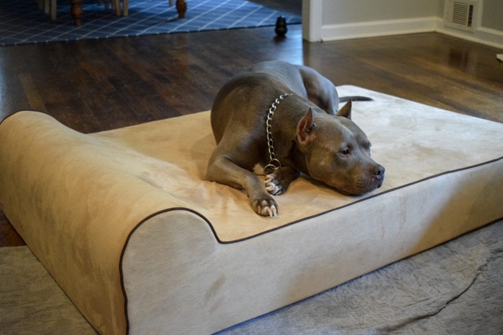 Bully Bed
