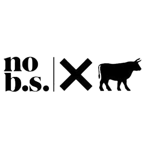 No BS Logo